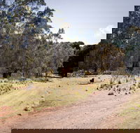 The Pines campground - Whitsundays Accommodation