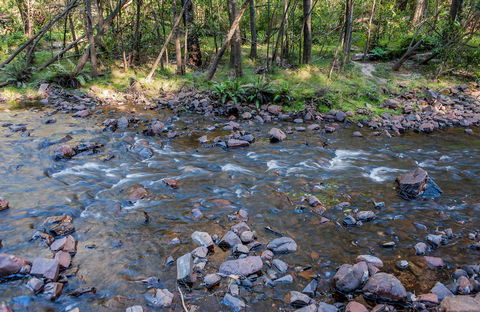 Toorooroo Campground - Whitsundays Accommodation 0