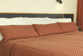 Margarets Forest Holiday Apartments - Whitsundays Accommodation