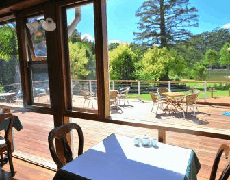 Forest Lodge Resort - Whitsundays Accommodation 2