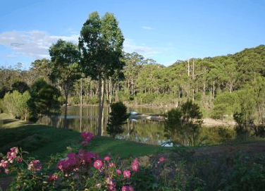 Forest Lodge Resort - Whitsundays Accommodation 3