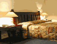 Comfort Inn Treetop Walk - Whitsundays Accommodation