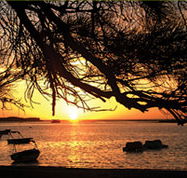 Pelican's Nest - Whitsundays Accommodation