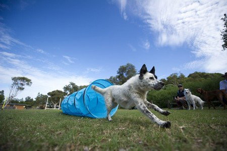 North Beach Holiday Park - Whitsundays Accommodation 1