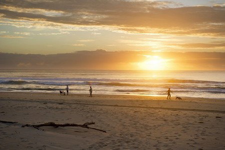 North Beach Holiday Park - Whitsundays Accommodation 4