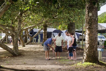 Massey Greene Holiday Park - Whitsundays Accommodation 5