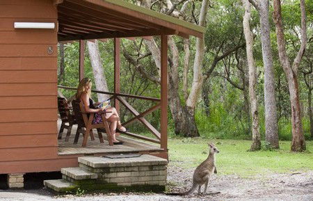 Hungry Head Cabins - Whitsundays Accommodation 1
