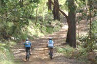 Craigmhor Mountain Retreat - Whitsundays Accommodation 2