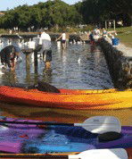 Turner Caravan Park - Whitsundays Accommodation 1