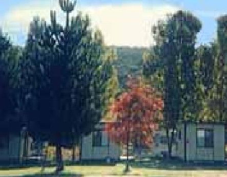 Anglers Reach Caravan Park - Whitsundays Accommodation 0