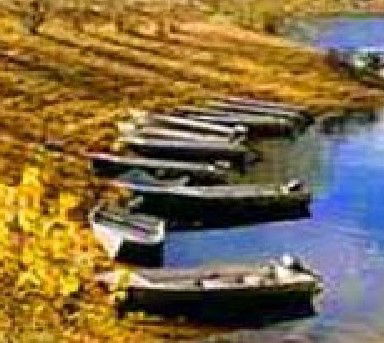 Anglers Reach Caravan Park - Whitsundays Accommodation 2