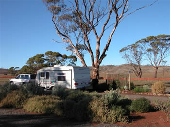 Fraser Range Sheep Station - Whitsundays Accommodation 0
