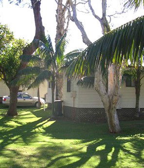 Arrawarra Beach Holiday Park - Whitsundays Accommodation 1