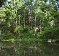 Peppermint Grove Retreat - Whitsundays Accommodation