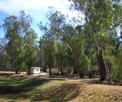 Balranald Caravan Park - Whitsundays Accommodation 0