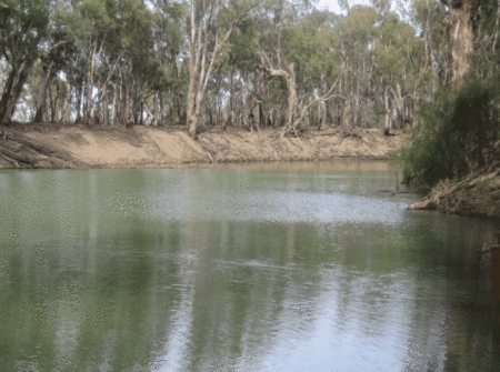 Balranald Club Motel - thumb 1