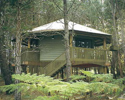 Possums Hideaway - Whitsundays Accommodation 0