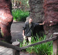 Walpole Lodge - Whitsundays Accommodation