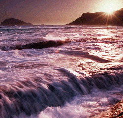 Walpole Lodge - Whitsundays Accommodation 1