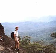 Mimosa Hill Wildflower Farm Cottages - Whitsundays Accommodation