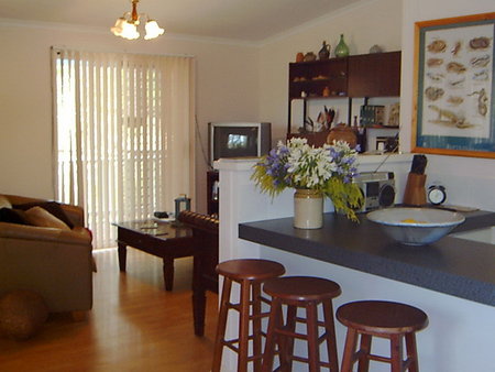 Tortoiseshell Farm - Whitsundays Accommodation 2