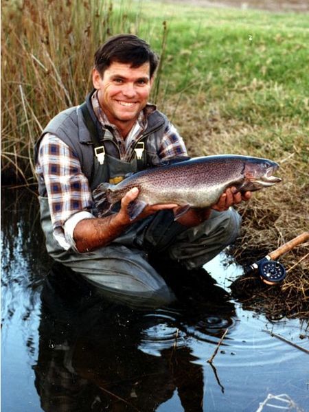 Clover Cottage Country Retreat - Whitsundays Accommodation 0