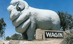 Wagin Motel - Whitsundays Accommodation