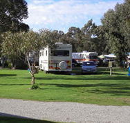 Pinjarra Caravan Park - Whitsundays Accommodation