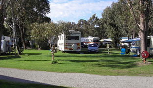 Pinjarra Caravan Park - Whitsundays Accommodation 0