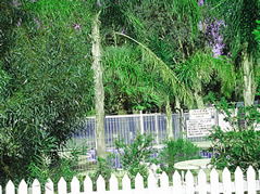 Pinjarra Caravan Park - Whitsundays Accommodation 3