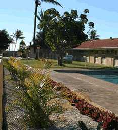 Best Western Hospitality Inn Carnarvon - Whitsundays Accommodation 7
