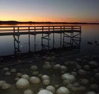 Lake Clifton Caravan Park - Whitsundays Accommodation