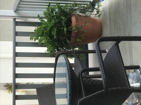 Airlie Court Units - Whitsundays Accommodation 2