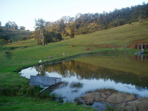 Barkeldine Farm Country Retreat - Whitsundays Accommodation 0