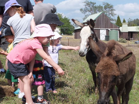 Barkeldine Farm Country Retreat - Whitsundays Accommodation 2