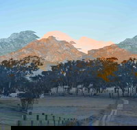 Barney Creek Vineyard Cottages - Whitsundays Accommodation