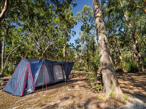 Boomeri Campground - Whitsundays Accommodation 1