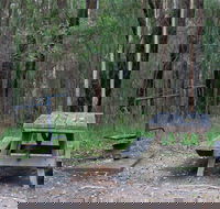 Boundary Falls campground and picnic area - Whitsundays Accommodation