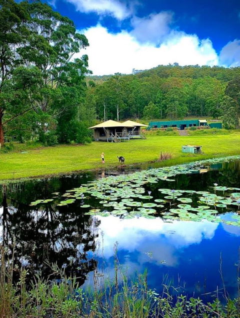 Challenge Chaser Retreat - Whitsundays Accommodation 0
