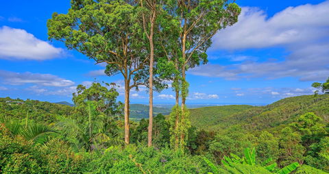 Cloud 9 Cliff Top Eagle Heights - Whitsundays Accommodation 1