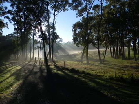 Cygnet Park Country Retreat - Whitsundays Accommodation 2