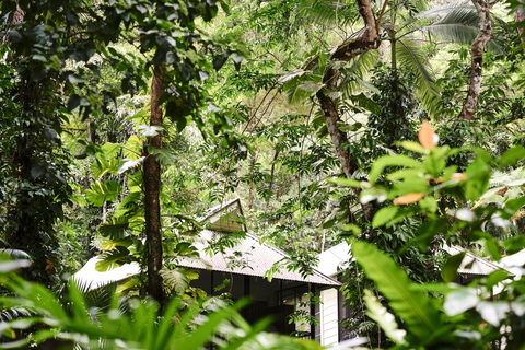 Daintree Ecolodge - Whitsundays Accommodation 0