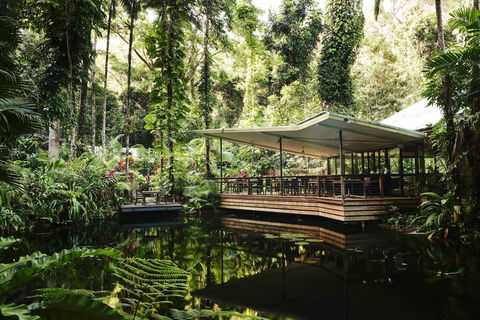 Daintree Ecolodge - Whitsundays Accommodation 1