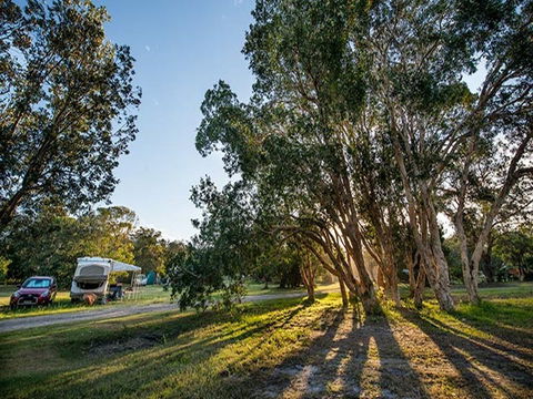 Delicate Campground - Whitsundays Accommodation 0