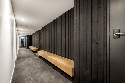 Elk At Falls - Whitsundays Accommodation 2