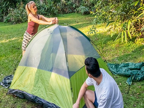 Native Dog Campground - Whitsundays Accommodation 0