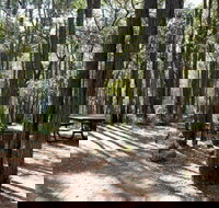 Perth Hills Centre Campground at Beelu National Park - Whitsundays Accommodation