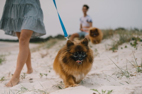 Reflections Holiday Parks Mylestom - Whitsundays Accommodation 1