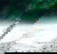 Ribbonwood Cottages - Whitsundays Accommodation