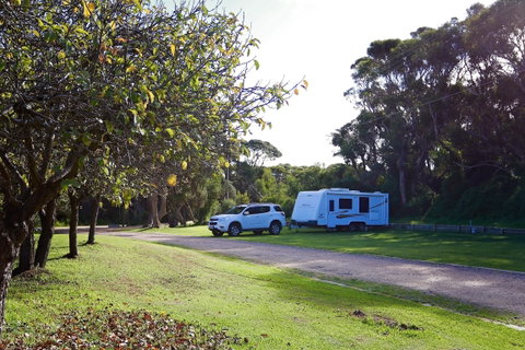 Robe Holiday Park - Whitsundays Accommodation 1